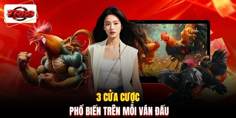3 cửa cược phổ biến trên mỗi ván đấu
