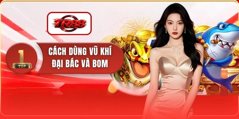 Cách Dùng Vũ Khí Đại Bác Và Bom