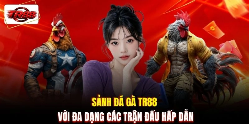 Sảnh đá gà TR88 với đa dạng các trận đấu hấp dẫn
